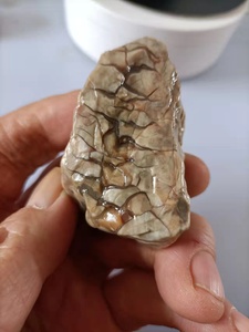 内蒙古阿拉善奇石石头天然精品马牙石玛瑙质观赏石手把件原石新品