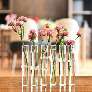 一排试管花瓶鲜花绿植水培玻璃花瓶创意网红花架家居摆件可折叠