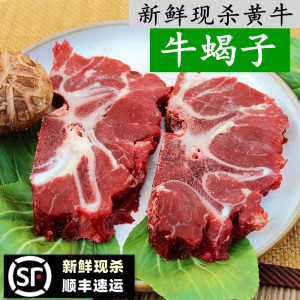 新鲜牛蝎子 带肉牛脊骨500g 牛脊梁骨牛脖子骨带骨牛肉牛尾牛排骨