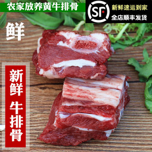 新鲜牛排骨 牛肋排500g 黄牛排骨 生牛肉 牛小排 牛仔骨 牛肋条肉