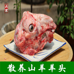 山羊头肉