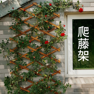 月季花木栅栏