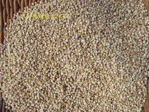 2021年新 农家 薏米 小薏米仁 闲产地种植 接近野生农村庄稼地34