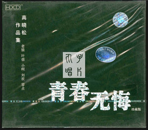 青春无悔高晓松