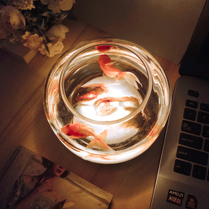 治愈系网红小鱼缸台灯氛围灯玻璃养鱼桌面装饰睡眠小夜灯casa照明