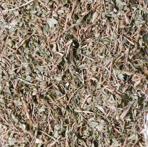 中药材 鸡眼草 500克 人字草 蚂蚁草 公母草.