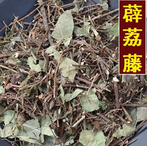 木莲藤 木馒头藤 薜荔枝 霹雳藤 大薜荔