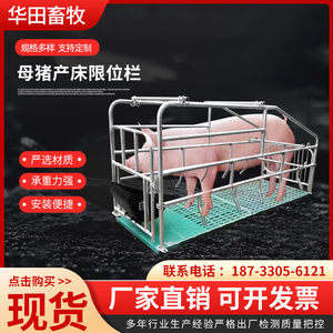 单体母猪产床分娩床双体产保一体保育床养殖设备猪产床猪用单产床
