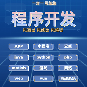 计算机程序设计java代做app代码编写python接单matlab代编游戏小