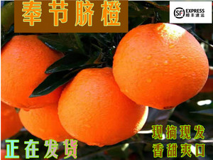 重庆奉节脐橙产地直发现摘新鲜当季孕妇水果橙子纽荷尔福本大果