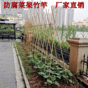 菜园搭架竹竿黄瓜豆角葡萄2米小竹旗杆庭院装饰围栏定制粗细竹子