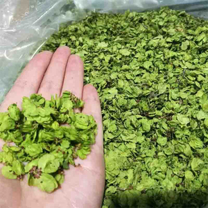 干榆钱250g春季野生新鲜榆树钱干货特产食用山野菜天然食材河南省