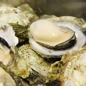 湛江特产海鲜鲜活