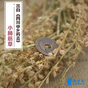 500克 药材 小肺筋草(粉条儿菜 肺筋草肺风草金线吊白米蛆芽草)
