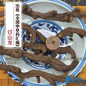 过山龙