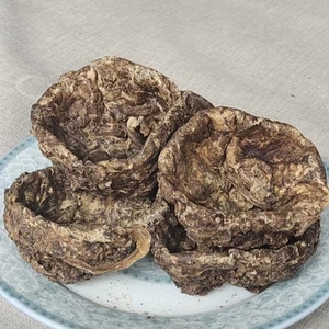 正宗古法原色羊胎盘干中药食同源传统滋补营养品整个打粉胶囊药材