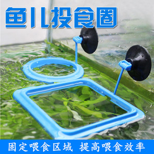 鱼食投喂圈加厚加高鱼儿喂食圈投食圈鱼缸喂鱼器漂浮料固定喂食圈