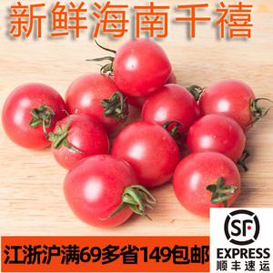 新鲜海南千禧小番茄500g  圣女果cherry tomatoes 江浙沪满69包邮