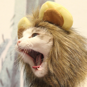 小猫衣服 宠物猫狮子头套猫咪的衣服搞笑秋冬款 万圣节变装水手服