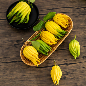 【小佛手】金华佛手果新鲜佛手柑金佛手瓜闻香清供摆盘现摘现发