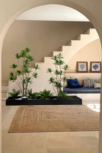 森空间仿真绿植装饰百合竹造景搭配设计室内楼梯转角景观落地盆栽