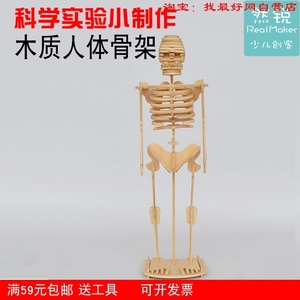 人体骨骼骨架模型 木质3d立体拼图人体认知幼儿园 diy手工制作