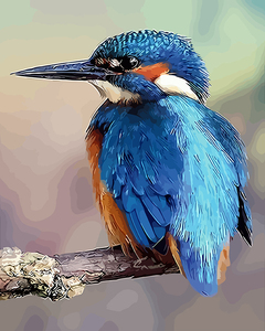 diy数字油画 花鸟风景淡彩手工填充减压数码手绘装饰画 蓝色蜂鸟