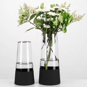 富贵竹瓶子直筒