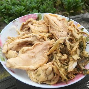 湖北荆州大头菜盐菜干货特产榨菜农家下饭菜自制儿菜拍2斤包邮