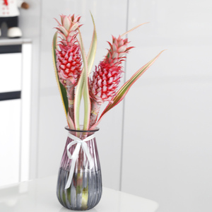 迷你小菠萝 凤梨花旺来花荷兰进口可做干花高格调鲜花速递鲜切花