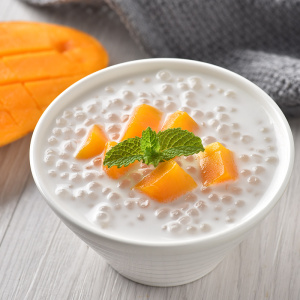 椰汁西米露组合套餐 水妈妈西米金牌高达椰浆做水果捞甜品原材料