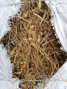 包邮 白花牛乳树根 牛奶树根 牛乳茎 牛乳树茎 250克