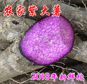 多省包邮新鲜紫薯紫大薯红大薯紫山药杂粮5斤装长型