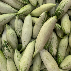 广东西洋菜新鲜包邮