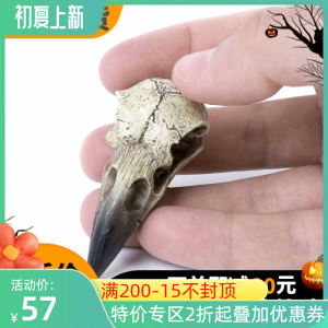 0033人付款淘宝alchemy a牌 v66 鸟头摇滚朋克哥特鹰