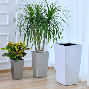 花盆塑料高盆高筒客厅