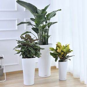 简约室内花盆圆形懒人自吸水烤漆客厅落地盆栽绿植大花盆8人付款85
