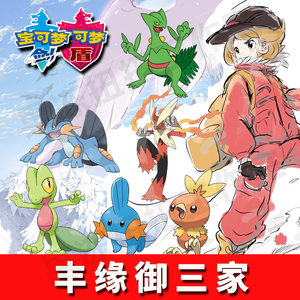 宝可梦剑盾 丰缘御三家6v闪光梦特火焰火稚鸡沼跃鱼木守宫蜥蜴王