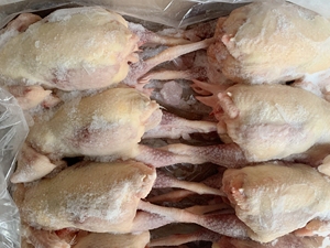 老母鸡 冷冻新鲜 黄油老鸡 红毛鸡 盐焗老鸡 下蛋鸡 熬汤 8只包邮