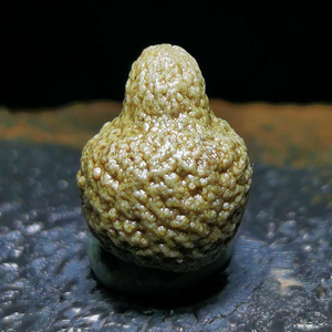 阿拉善戈壁玛瑙筋脉石戈壁小奇石手把件手串手链血脉天然原石花脉