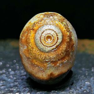 外蒙古 阿拉善天然天眼睛石原石奇石缠丝花眼玛瑙 戈壁 筋脉 糖心