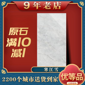 东鹏瓷砖 原石 通体砖 客餐厅地砖 寒江雪yg276856/yg806856