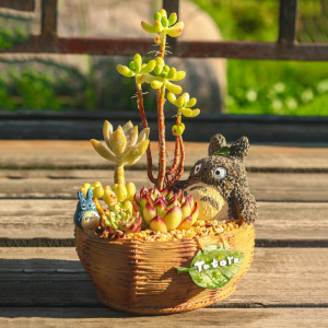 小号卡通多肉花盆创意桌面微景观小盆栽宫崎骏龙猫澡盆可爱肉肉盆