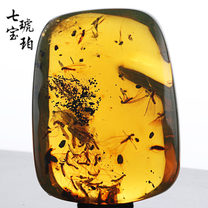 七宝琥珀精品多米尼加馆藏级虫珀白蚁群植物包裹物蓝珀收藏礼品