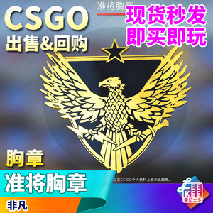 csgo胸章 准将 非凡 ct t通用 国服 国际 5e b5 非勋章 皮肤 清仓