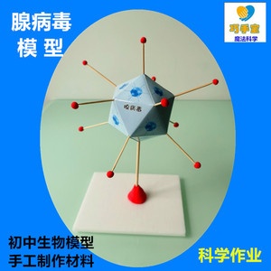 腺病毒模型diy儿童科技发明小学科学社团初中生物手工制作材料包