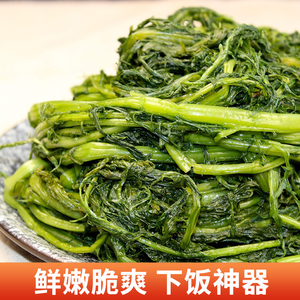 东北特产雪里蕻 正宗农家腌制雪里红 春不老咸菜 雪菜下饭菜酱菜