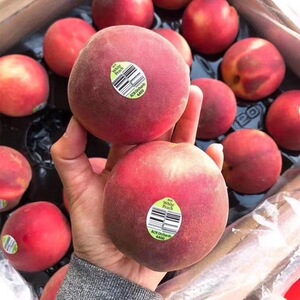 澳洲进口水蜜桃