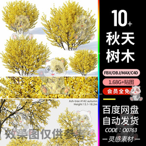 c4d秋天季植物树木黄色叶子白蜡树灌木3d模型3dmax素材obj建模fbx