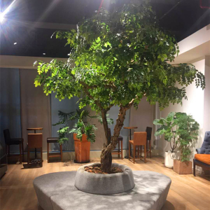 室内假树简约